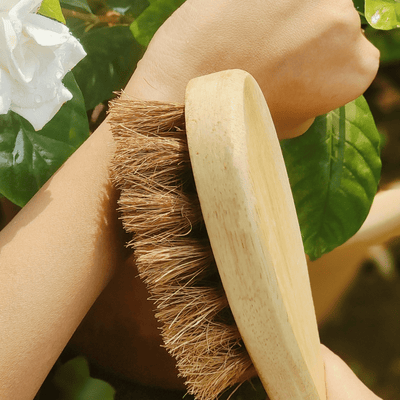 Coconut Fiber Dry Body Brush – Natural Exfoliation Tool – Bath Accessories on Brown Living™. SKU: AS-DBB-001. Img 4.