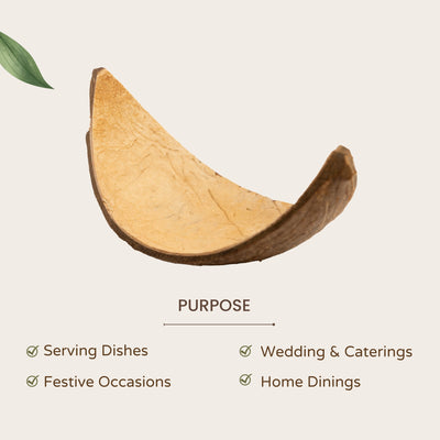 Coconut Shell Boats | Eco - Friendly Handcrafted Serving Set of 10 – Trays & Platters on Brown Living™. SKU: TGASHLBOAT. Img 3.