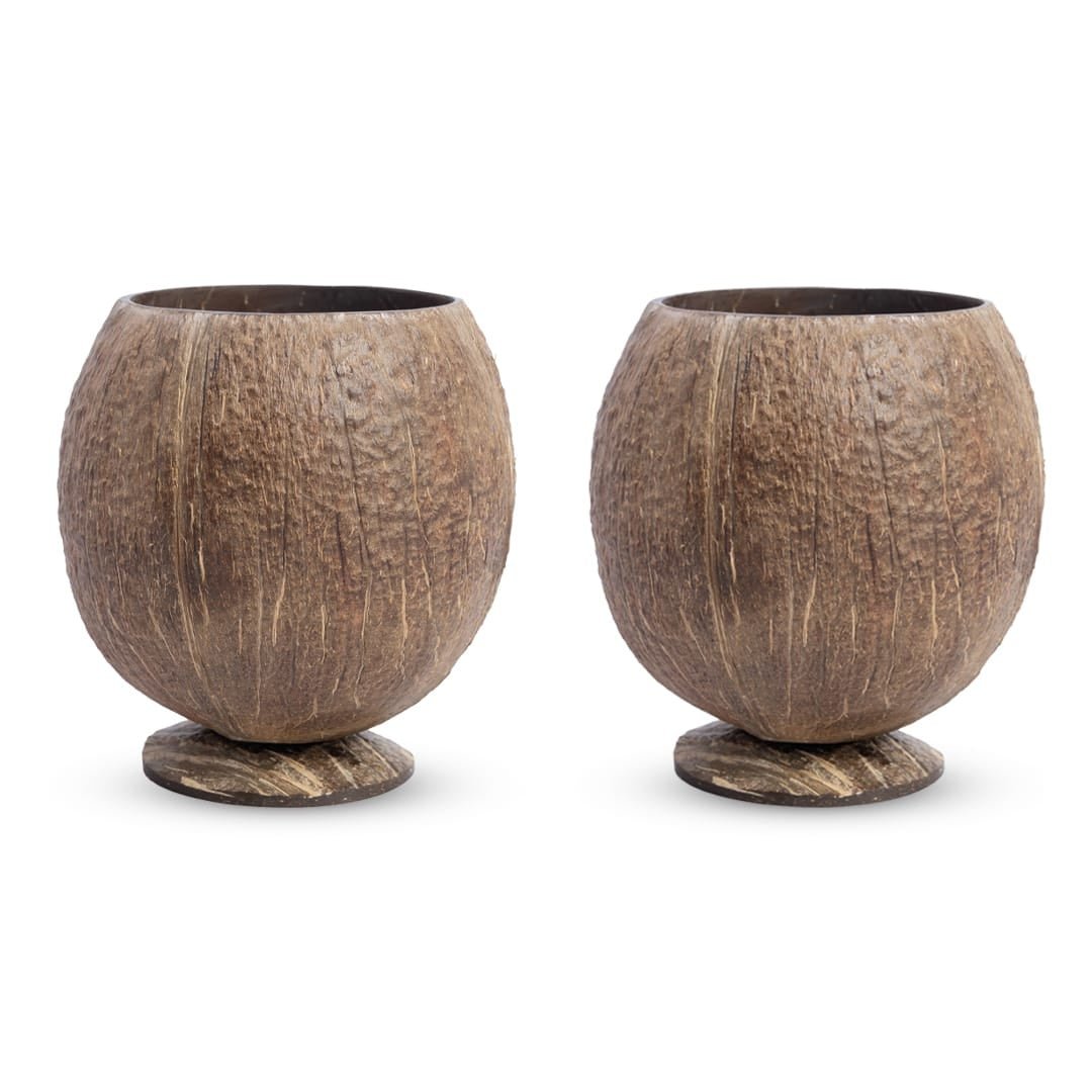 Coconut Shell Cup Set of 2 | 300–350 ml Natural Finish Cup – Cups & Saucers on Brown Living™. SKU: TGACUPLRG-2. Img 1.