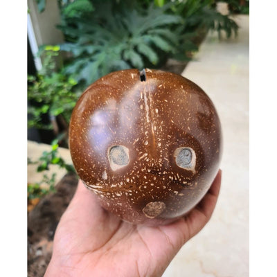 Coconut Shell Kudukka | Piggy Bank for Kids and Adults – Piggy Banks & Money Jars on Brown Living™. SKU: THENGA26. Img 2.