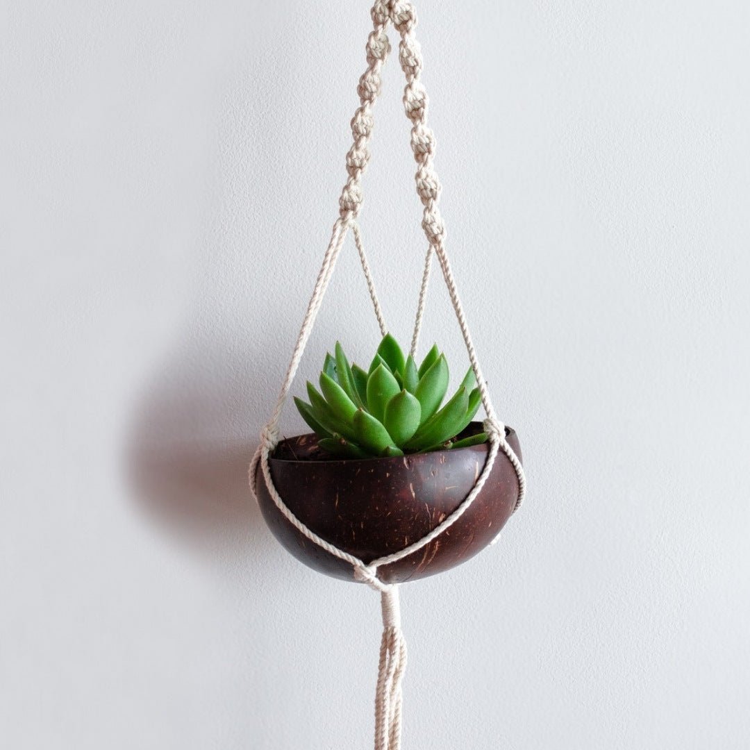 Coconut Shell Macrame Plant Hanger & Pot for Indoor & Outdoors – Pots & Planters on Brown Living™. SKU: 173 - 05699 - thenga - coconut - shell - macrame - plant - hanger - for. Img 7.