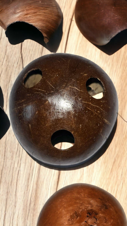 Coconut Shell Pen stand – Desk Organizers on Brown Living™. SKU: OEP111. Img 8.