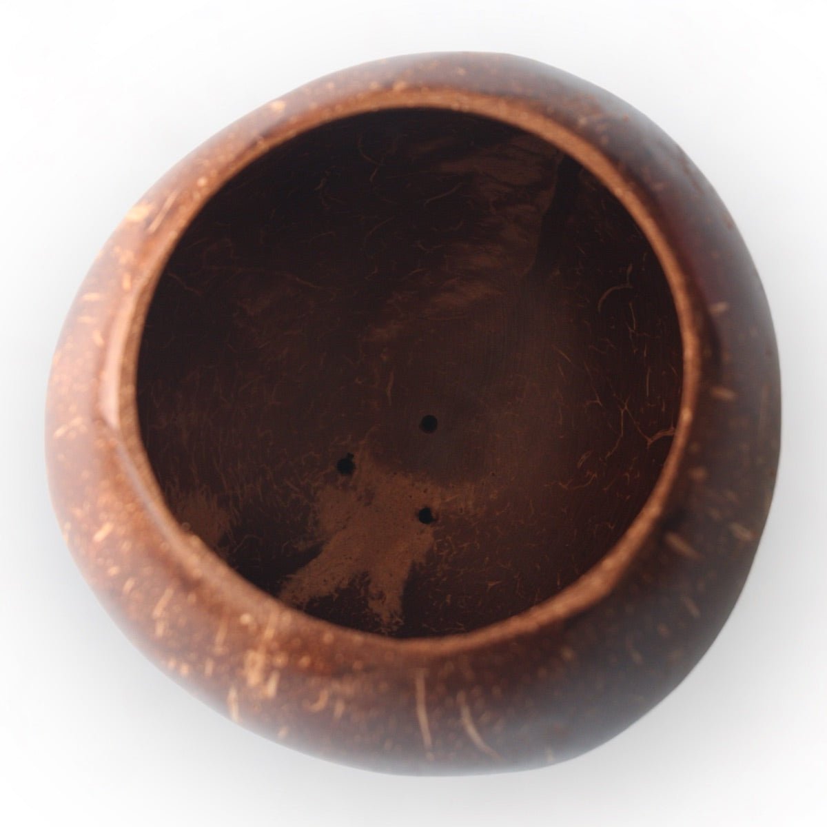 Coconut Shell Planting Pot With Base (Set of 2) | Verified Sustainable by Brown Living™