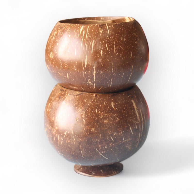 Coconut Shell Planting Pot With Base (Set of 2) | Verified Sustainable by Brown Living™