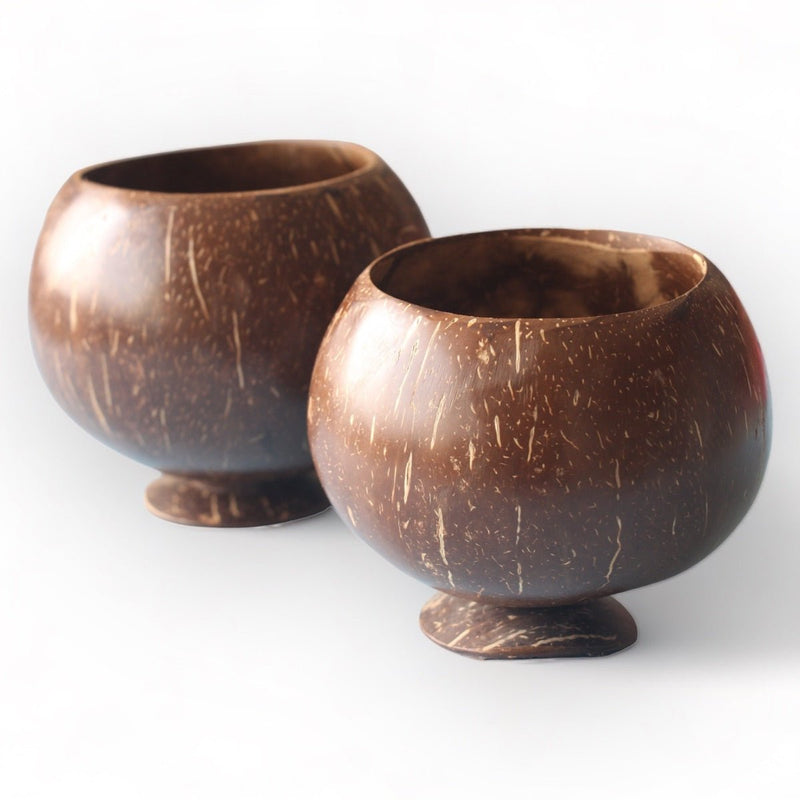 Coconut Shell Planting Pot With Base (Set of 2) | Verified Sustainable by Brown Living™