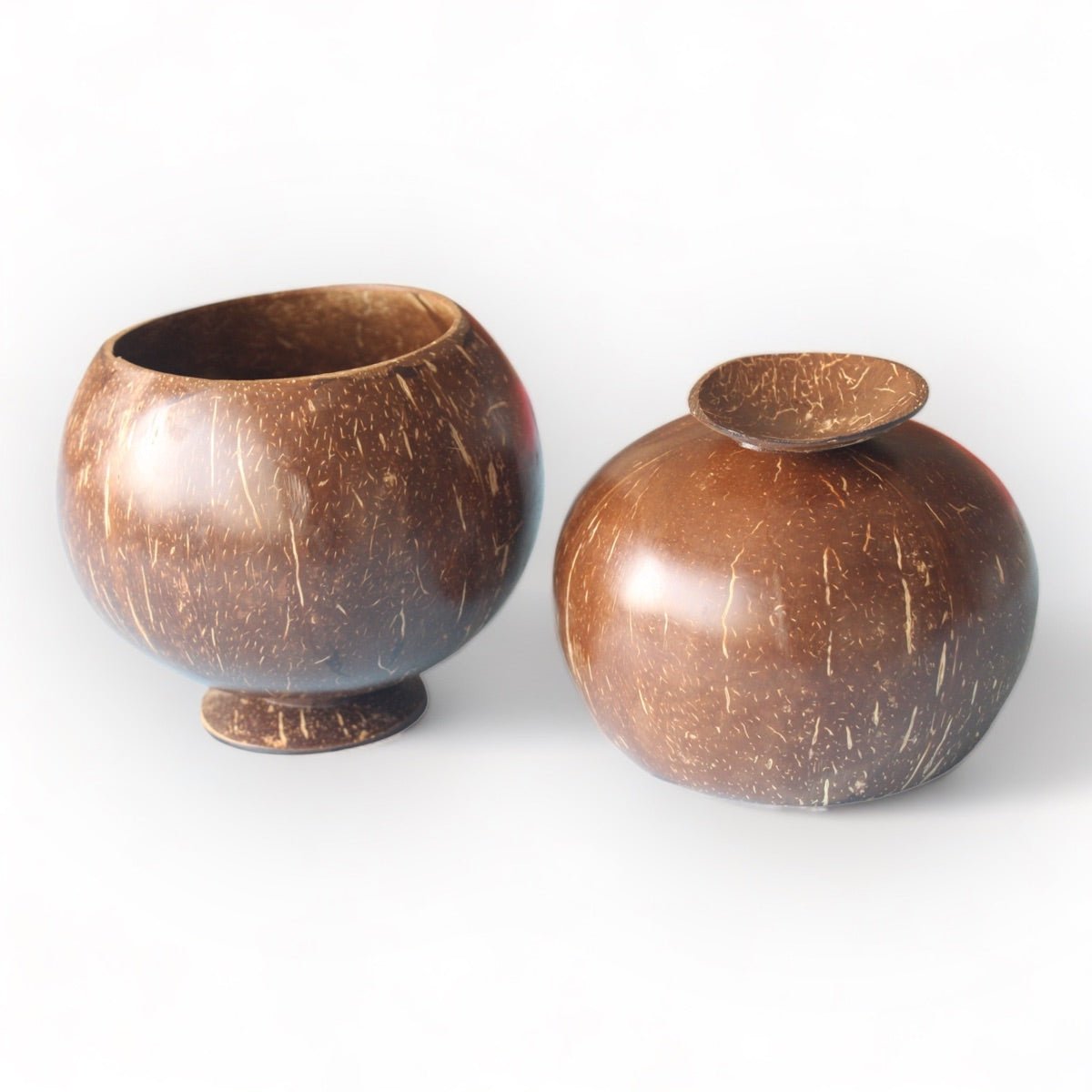 Coconut Shell Planting Pot With Base (Set of 2) | Verified Sustainable by Brown Living™