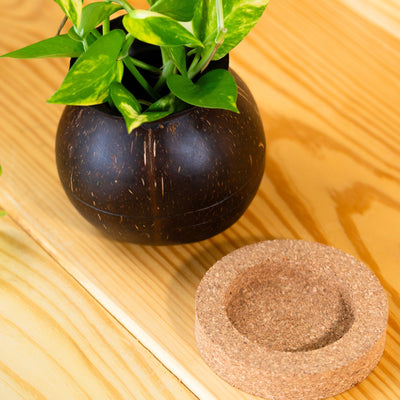 Coconut Shell Pot Shaped Planter Pots | For Small Plants (Set of 1) – Pots & Planters on Brown Living™. SKU: THENGA27. Img 7.