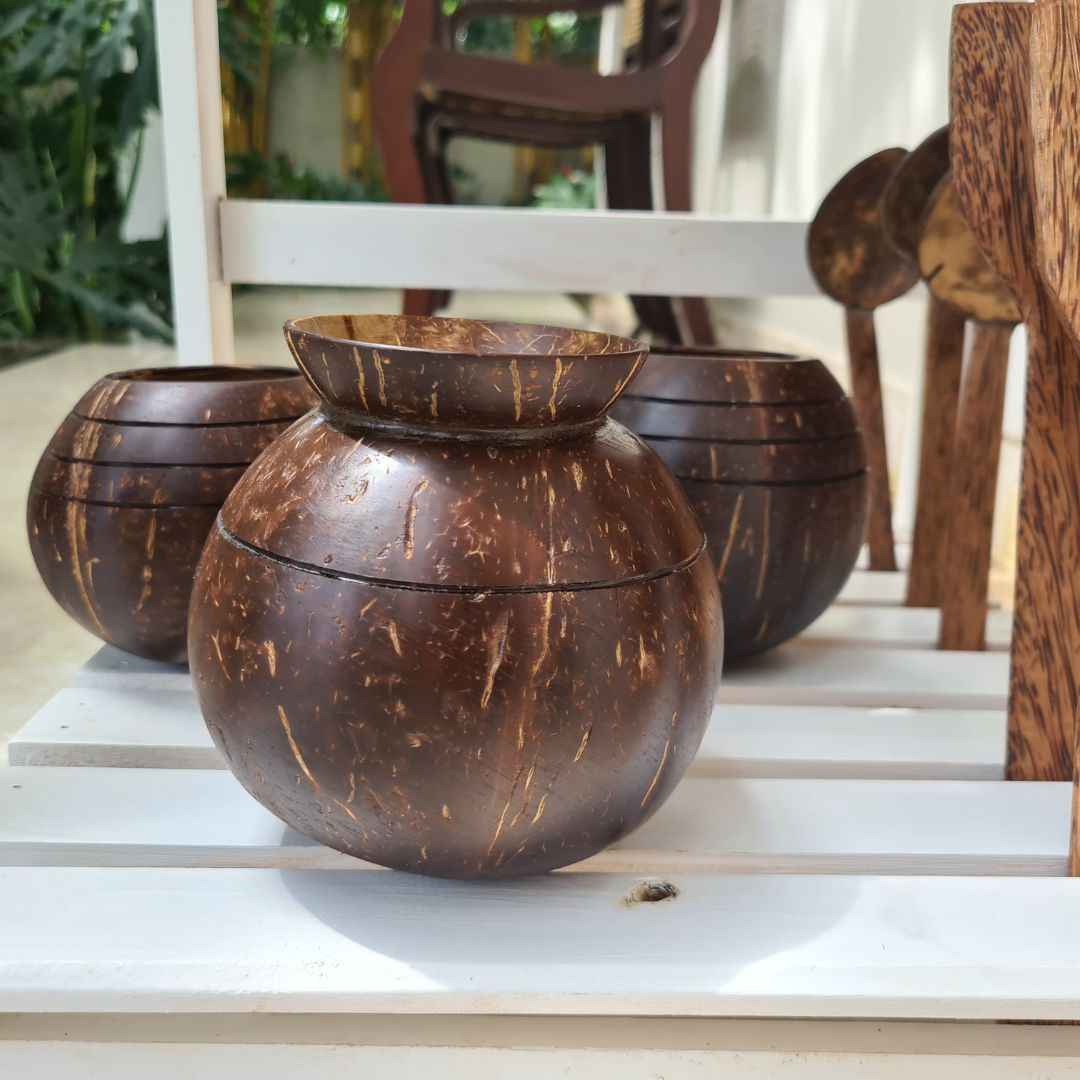 Coconut Shell Pot Shaped Planter Pots | Ideal for Small Plants (Set of 1) | Verified Sustainable by Brown Living™