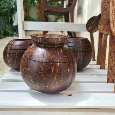 Coconut Shell Pot Shaped Planter Pot | Ideal for Small Plants – Pots & Planters on Brown Living™. SKU: THENGA27. Img 2.