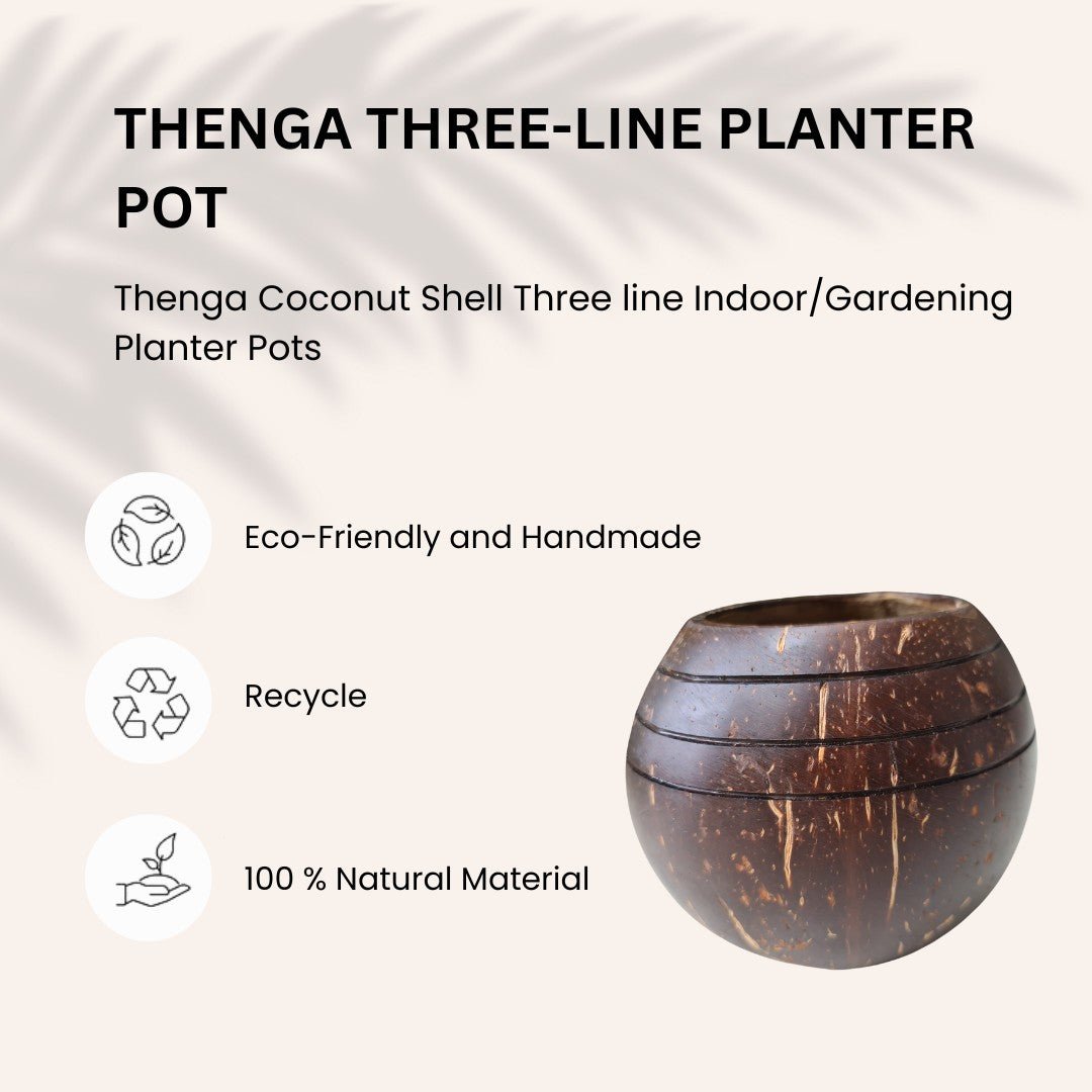 Coconut Shell Three line Planter Pots | Ideal for Small Plants (Set of 1) | Verified Sustainable by Brown Living™