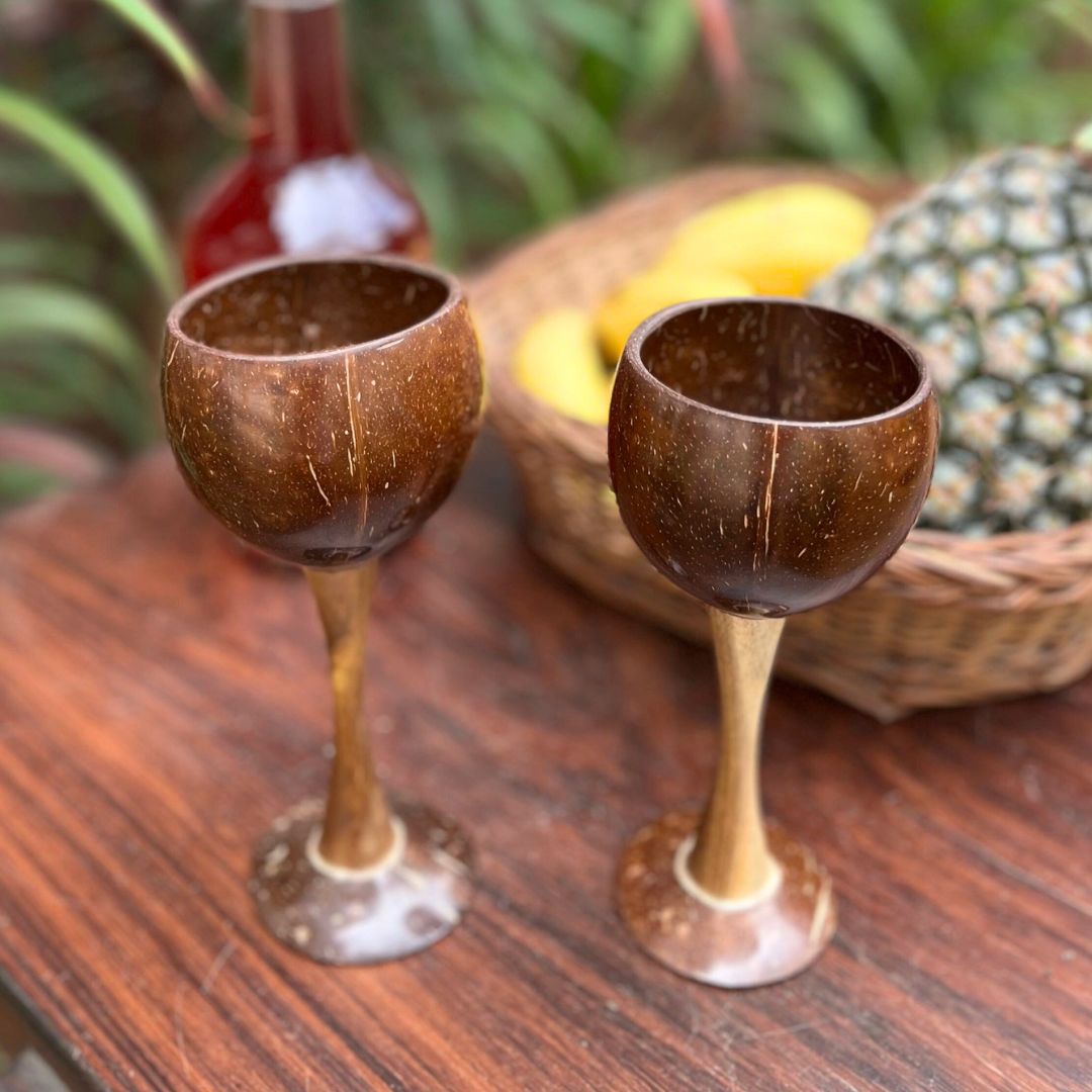 Coconut Shell & Wooden Wine Glasses | Red Wine Glasses (Set of 2) | Verified Sustainable by Brown Living™