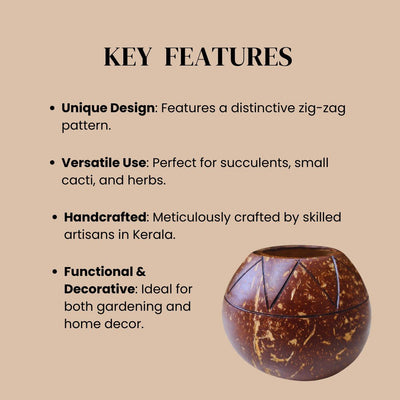 Coconut Shell Zig Zag Planter Pots | Ideal for Small Plants (Set of 1) – Pots & Planters on Brown Living™. SKU: THENGA34. Img 5.