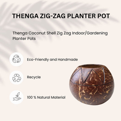 Coconut Shell Zig Zag Planter Pots | Ideal for Small Plants (Set of 1) – Pots & Planters on Brown Living™. SKU: THENGA34. Img 4.