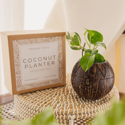 Coconut Shell Zig Zag Planter Pots | Ideal for Small Plants (Set of 1) – Pots & Planters on Brown Living™. SKU: THENGA34. Img 2.