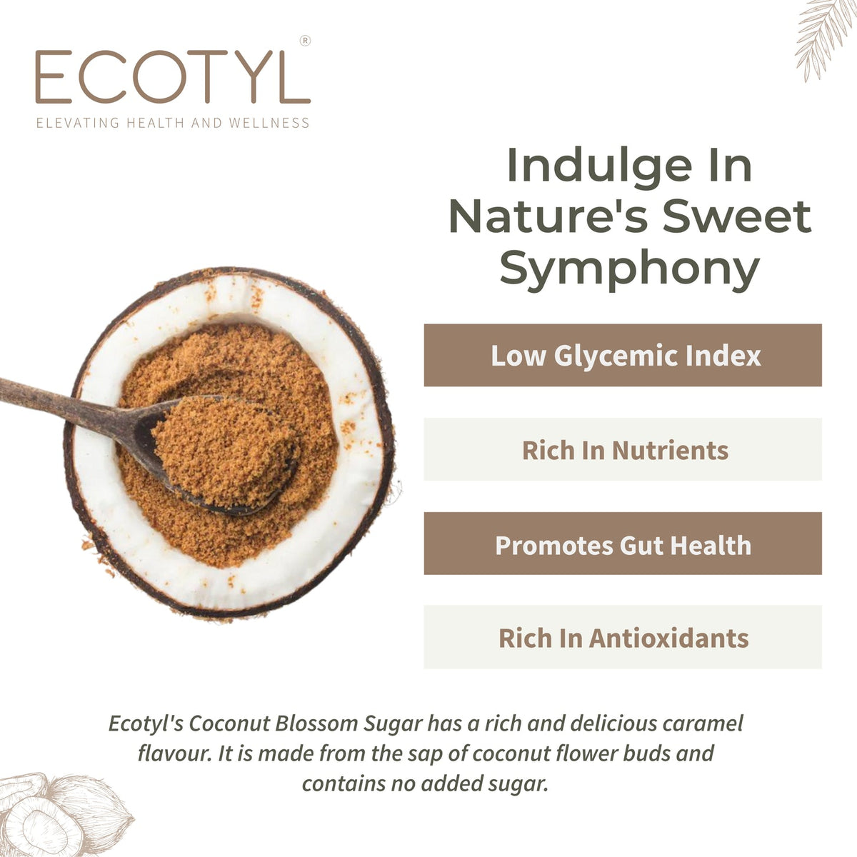 Coconut Sugar- 300g | Blossom Sugar | Natural Sweetener – Cooking & Baking Supplies on Brown Living™. SKU: ECOTYL00008. Img 2.