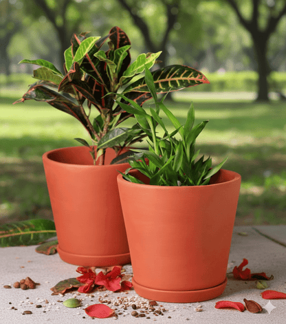 Cone Planter Small – 4 Inch | Indoor & Outdoor Plant Pot | Decorative – Home & Garden on Brown Living™. SKU: PL7-2A. Img 39.