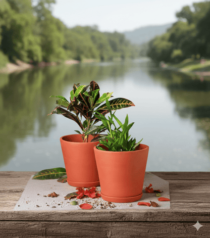 Cone Planter Small – 4 Inch | Indoor & Outdoor Plant Pot | Decorative – Home & Garden on Brown Living™. SKU: PL7-2A. Img 41.
