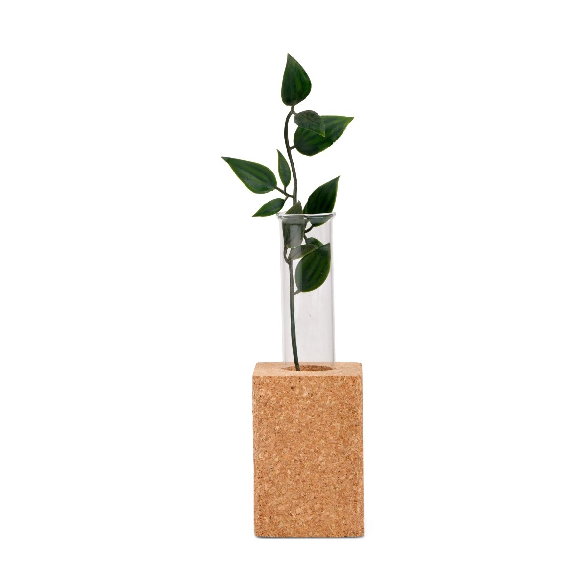 Cork Fridge Magnet Test Tube Planter – Pots & Planters by The Cork Studio available on Brown Living™. . SKU: TCS - 13. Img 1.