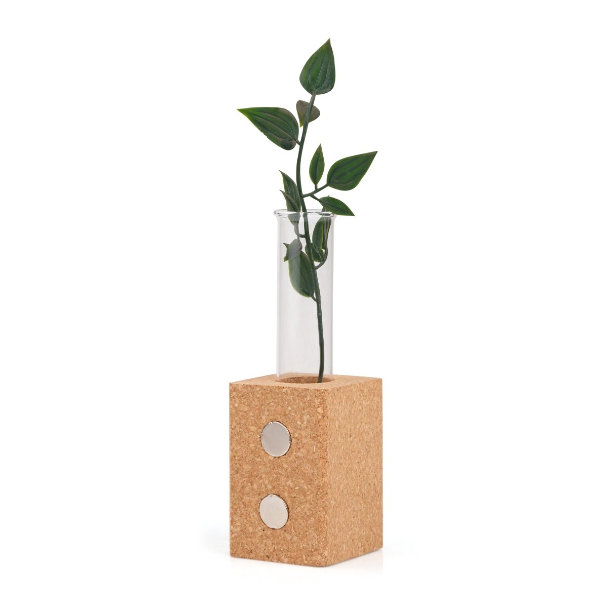 Cork Fridge Magnet Test Tube Planter – Pots & Planters by The Cork Studio available on Brown Living™. . SKU: TCS - 13. Img 2.