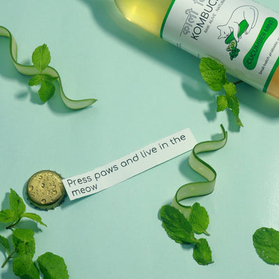 Cucumber Mint Kombucha 250ml | Probiotic Refreshing Fermented Drink – Health & Energy Drinks on Brown Living™. SKU: KBKCM. Img 4.