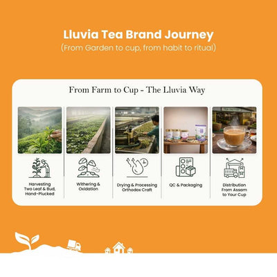 Detox Green Tea – Cleansing, Revitalisation & Overall Wellness – 50g – Tea on Brown Living™. SKU: RBTTin50New. Img 7.