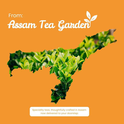Detox Green Tea – Cleansing, Revitalisation & Overall Wellness – 50g – Tea on Brown Living™. SKU: RBTTin50New. Img 10.