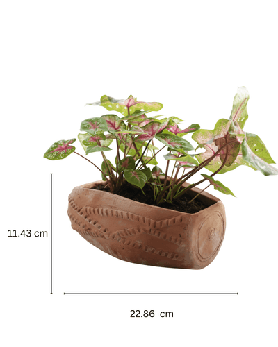 Dholak Beat Handcrafted Musical Clay Planter – Pots & Planters on Brown Living™. SKU: A0_plt_0047. Img 8.