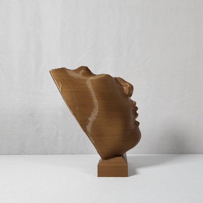 Disingenuous Prattle Plant - Based Exotic Bronze Sculpture – Home Decor on Brown Living™. SKU: DIPREDPLEBA107. Img 2.