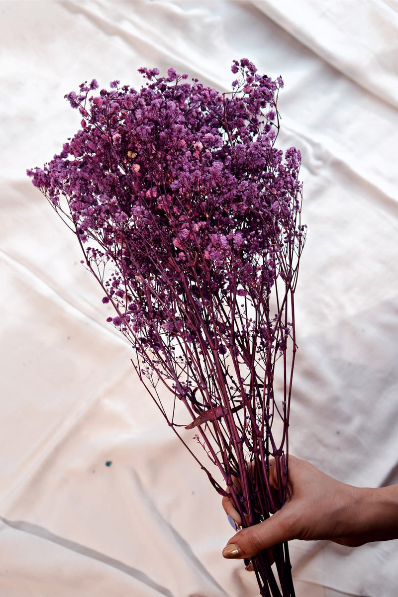 Dried Baby Breaths-Purple | Verified Sustainable Decor & Artefacts on Brown Living™
