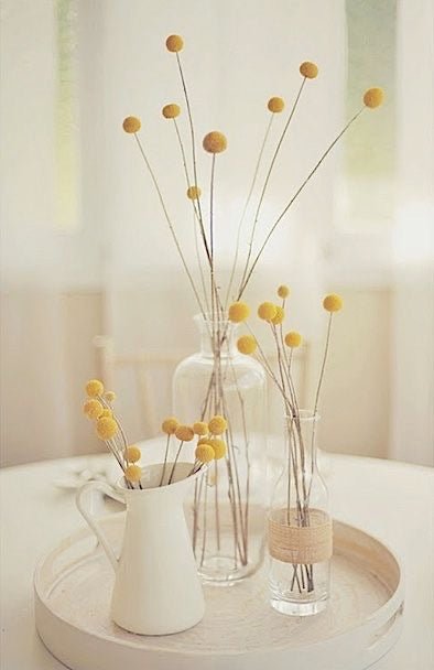 Dried Billy Ball- Yellow | Verified Sustainable Decor & Artefacts on Brown Living™