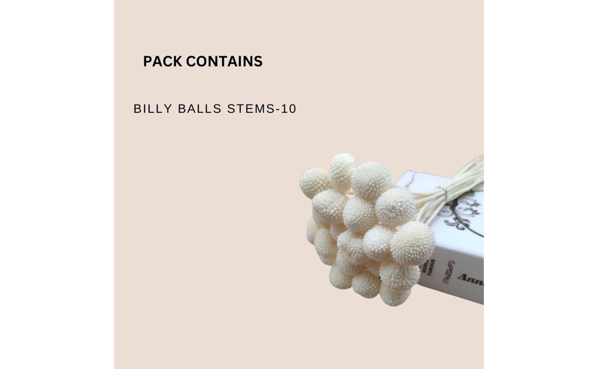 Dried Billy Balls - White | Verified Sustainable by Brown Living™