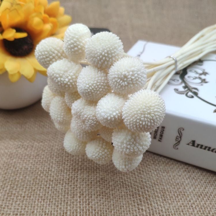 Dried Billy Balls-White | Verified Sustainable Decor & Artefacts on Brown Living™