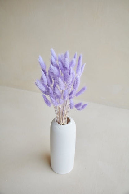 Dried Bunny Tails - Liliac | Verified Sustainable by Brown Living™