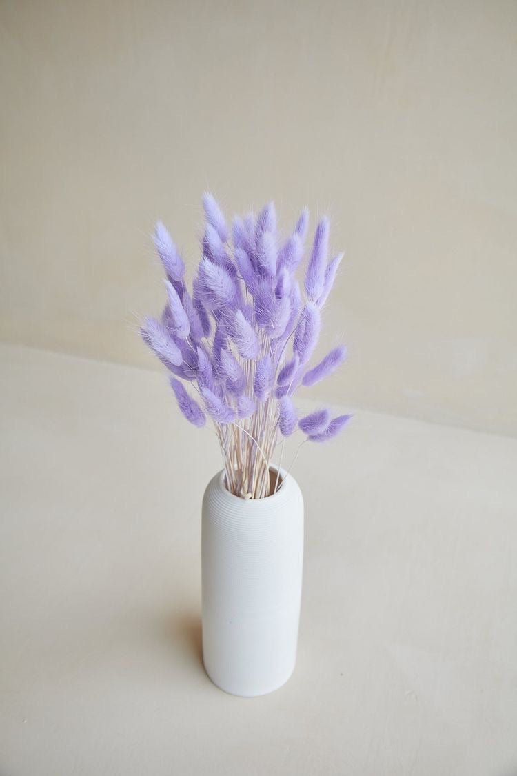 Dried Bunny Tails-Liliac | Verified Sustainable Decor & Artefacts on Brown Living™
