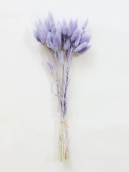 Dried Bunny Tails - Liliac | Verified Sustainable by Brown Living™