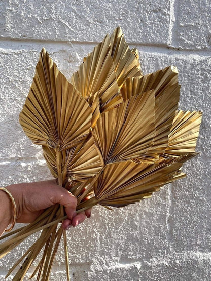 Dried Fan Palm Sphere - Golden | Verified Sustainable by Brown Living™