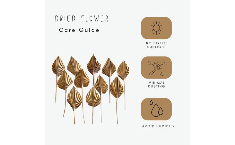 Dried Fan Palm Sphere - Golden | Verified Sustainable by Brown Living™