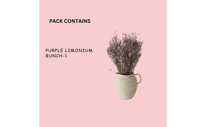 Dried Limonium Purple | Verified Sustainable by Brown Living™