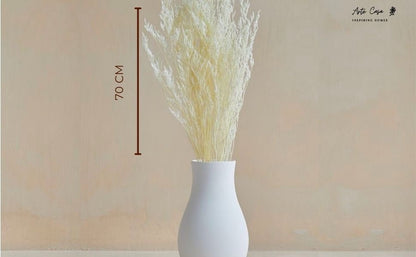 Dried Limonium White | Verified Sustainable by Brown Living™