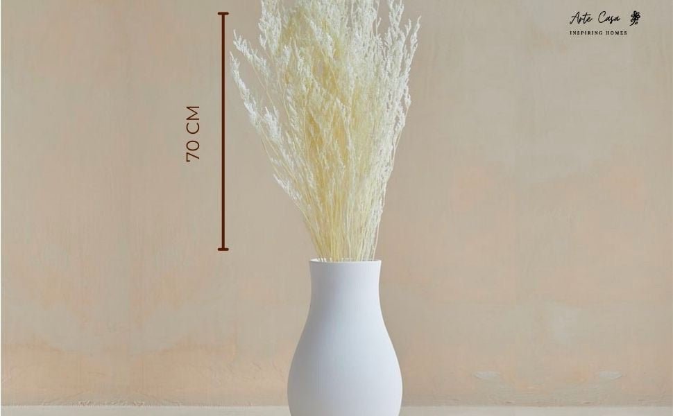 Dried Limonium White | Verified Sustainable by Brown Living™