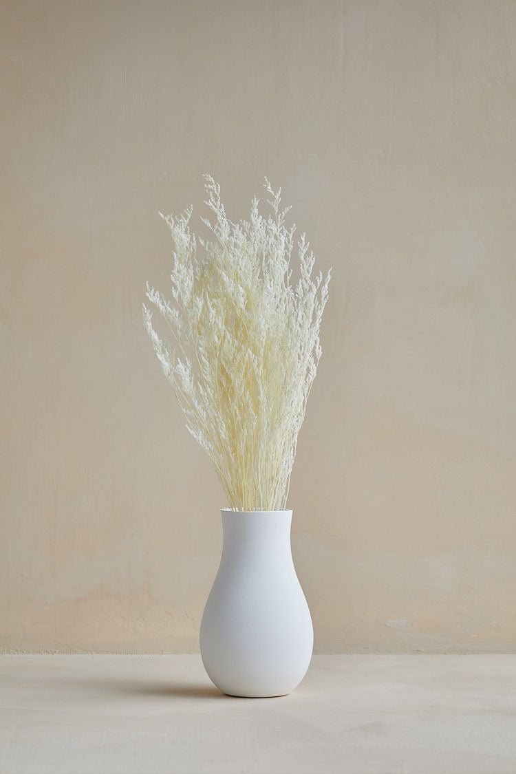 Dried Limonium White | Verified Sustainable by Brown Living™