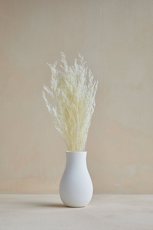 Dried Limonium White | Verified Sustainable Decor & Artefacts on Brown Living™