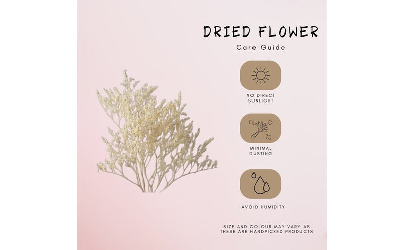 Dried Limonium White | Verified Sustainable Decor & Artefacts on Brown Living™