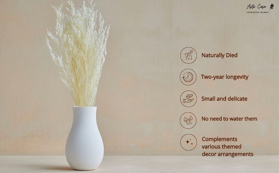 Dried Limonium White | Verified Sustainable by Brown Living™