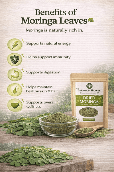 Dried Moringa Leaves | Natural Herbal Tea & Culinary Ingredient – Tea on Brown Living™. SKU: BH-MOR-100G. Img 6.