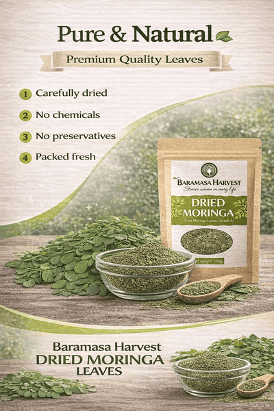 Dried Moringa Leaves | Natural Herbal Tea & Culinary Ingredient – Tea on Brown Living™. SKU: BH-MOR-100G. Img 4.