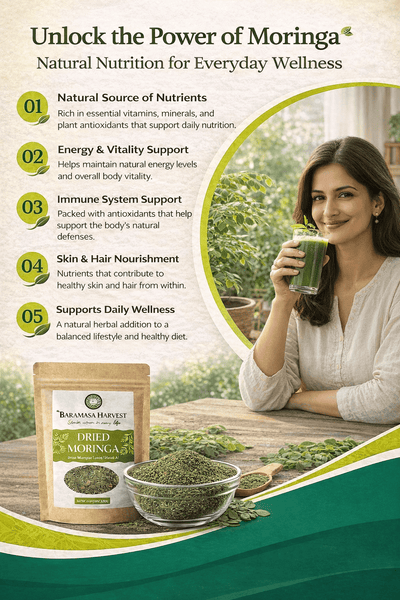 Dried Moringa Leaves | Natural Herbal Tea & Culinary Ingredient – Tea on Brown Living™. SKU: BH-MOR-100G. Img 5.