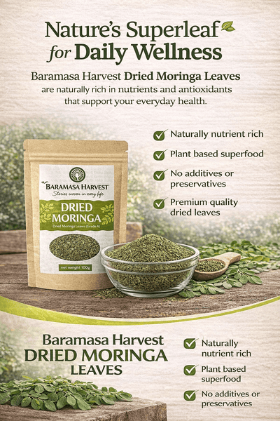 Dried Moringa Leaves | Natural Herbal Tea & Culinary Ingredient – Tea on Brown Living™. SKU: BH-MOR-100G. Img 7.