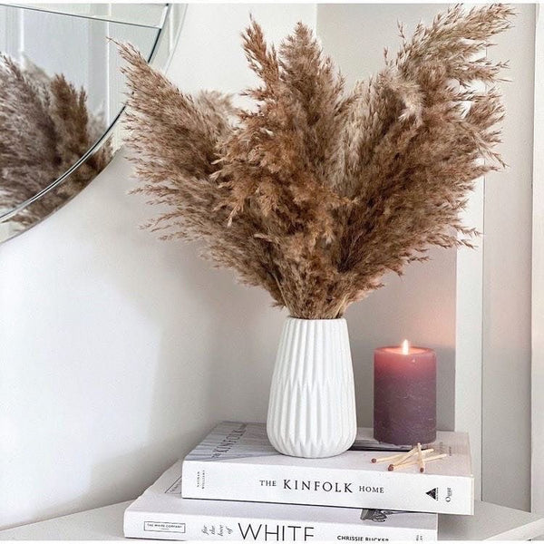 Dried Pampas XL-Brown | Verified Sustainable Decor & Artefacts on Brown Living™
