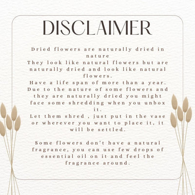 Dried Pampas XL - Brown – Decor & Artefacts on Brown Living™. SKU: 246. Img 3.